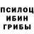 Галлюциногенные грибы Magic Shrooms Sofiy Ryzik