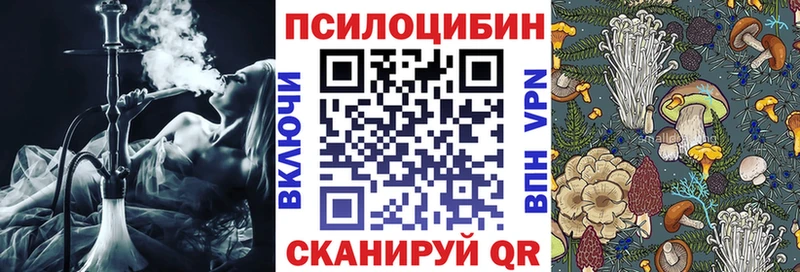Псилоцибиновые грибы Psilocybe  Козьмодемьянск 